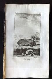 Goldsmith 1779 Antique Print. Mole