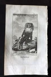 Goldsmith 1779 Antique Print. Wanderow