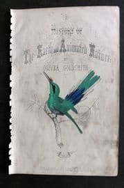 Goldsmith C1850 Hand Col Bird Print. White Striped Hummingbird. Title Page
