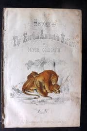 Goldsmith C1850 Hand Col Print. Collared Cat. Title Page