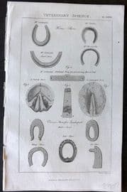 Good 1813 Antique Print. Veterinary Science 79 Horse Shoes