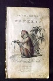 Jardine 1833 Hand Col Print. Young Rhesus Monkey Illus Title Naturalist's Library