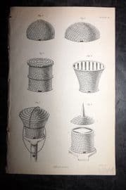 Jardine 1843 Antique Print. Straw Hives 10