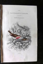 Jardine C1850 Hand Col Bird Print. Robin. Illus. Title Page