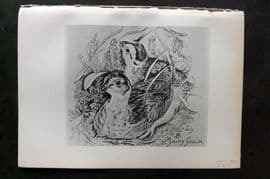 Jemima Blackburn 1895 Antique Bird Print. Red Grouse, etc.