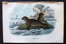 Lloyd 1896 Antique Print. Common Seal 17