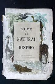 Morris 1852 Antique Print. Book of Natural History Illus. Title Page
