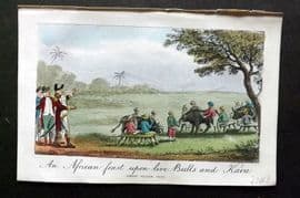 Munchausen & Cruikshank 1877 HC Satire. African Feast upon live Bulls and Kava