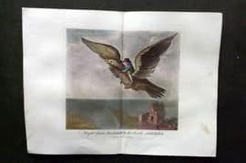 Munchausen & Cruikshank 1877 Satire Print. Flight from Margate to South America