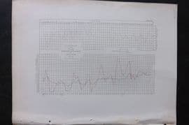 Perry 1856 Wind Chart. Yedo Bay, Tokyo. Japan
