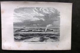 Pouchet 1874 Antique Print. Madrepore Island in the Archipelago of Pometou