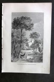 Pouchet 1874 Botanical Print. Gutta Percha Tree