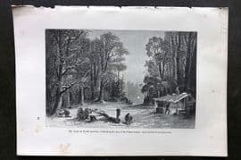 Pouchet 1874 Botanical Print. North America. Collecting Sap of the Sugar Maple