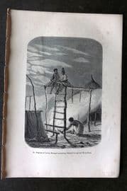 Pouchet 1874 Print. Negroes of Lower Senegal protecting from Mosquitoes