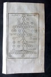 Psalmanazar & Sale C1770 Antique Print. Islam Genealogy Chart of Quraysh Tribe