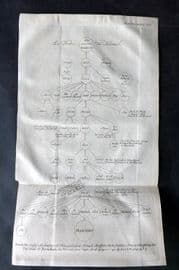 Psalmanazar & Sale C1770 Antique Print. Quraysh Tribe, Islam Genealogy Chart