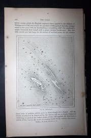 Reclus 1873 Antique Map. Heliogoland, Germany
