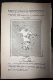 Reclus C1880 Antique Map Plan. Mayotte, Indian Ocean