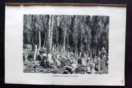 Reclus C1880 Antique Print. Cypresses in the Cemetery of Scutari, Turkey