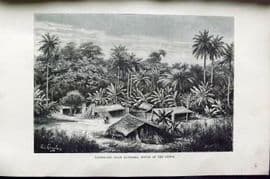 Reclus C1880 Antique Print. Landscape near Quissama, South of the Congo