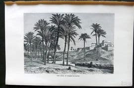 Reclus C1880 Antique Print. Sefi Canal at Fidemin-El-Fayum, Egypt