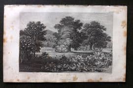 Rhind 1862 Antique Botanical Print. Fruit Trees