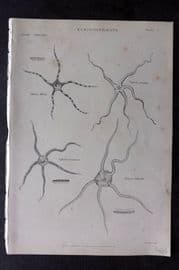Richardson 1862 Print. Starfish 05