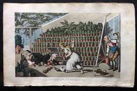 Rowlandson Doctor Syntax 1855 HCol Print. Misfortune at Tulip Hall