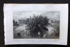 Shepherd 1829 Island on Lake, Cornwall & Clarence Terrrace Regents Park London