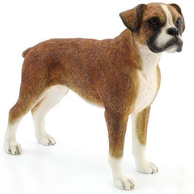 Best of Breed Boxer Brown Dog ornament
