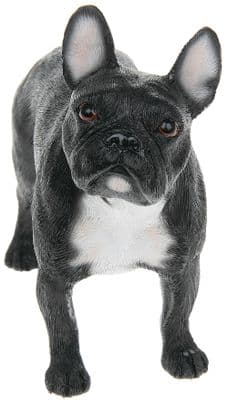 Best of Breed French Bulldog Black ornament