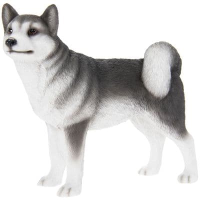Best of Breed Husky Dog ornament