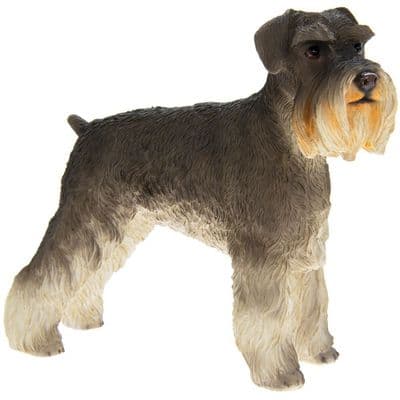 Best of Breed Schnauzer Dog ornament