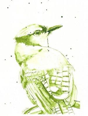 Blue Jay (Green bird) Printed Greetings Card