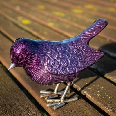 Brushed AluminArk Purple Robin