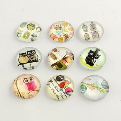 Cartoon Owl Flatback Dome Glass Cabochon (25x6mm) (single)