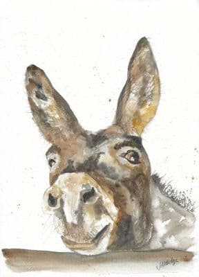 Donkey Printed Greetings Card