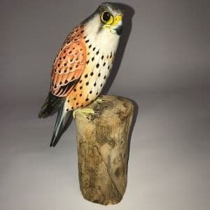 Kestrel- handpainted bird
