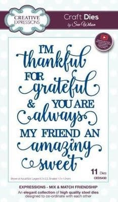 Mix & Match Friendship Creative Expressions Die (CED5430)