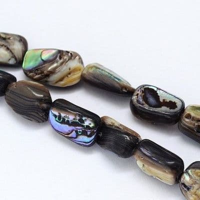Paua Shell Nugget Beads 10-16 x 6-9mm x 4-6mm 8