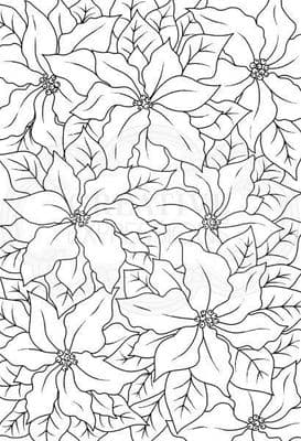 Poinsettia Lace Clear Woodware Stamp (JGS612)