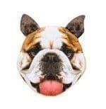 Softee Dog Purse bulldog