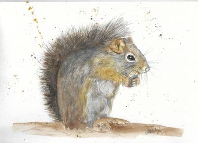 Squirrel Printed Greetings Card