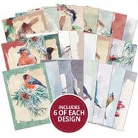 The Little Book of Winter Birds