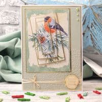 The Little Book of Winter Birds