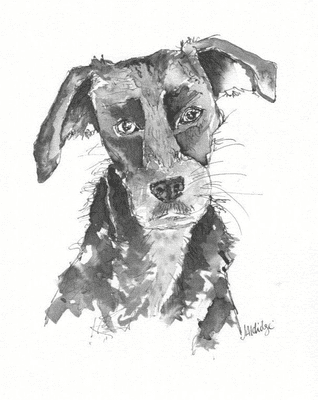 Thoughtful (black dog) Printed Greetings Card