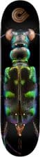 Powell Peralta Skateboard Deck BISS Tiger Beetle - Shape 248 - 8.25 x 31.95