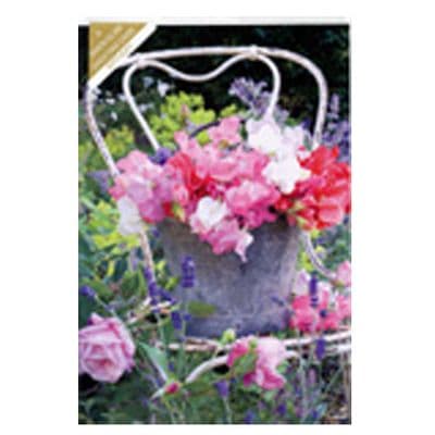 A Simon Elvin Birthday Card For a Female