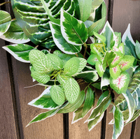 Tropical Inspired All Year Round Faux Greenery Door Wreath