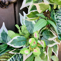 Tropical Inspired All Year Round Faux Greenery Door Wreath